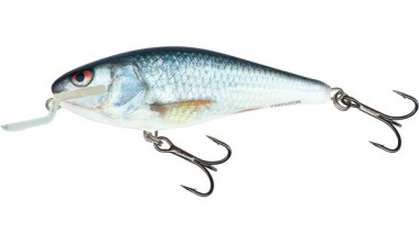 WOBLER EXECUTOR SHALLOW REAL DACE 5cm 5g SALMO