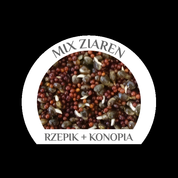 MIX KONOPIE RZEPIK BANAN 10kg WIADRO OLD SCHOOL