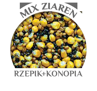 MIX ZIAREN SUSZONA ŚLIWKA 14kg WIADRO OLD SCHOOL