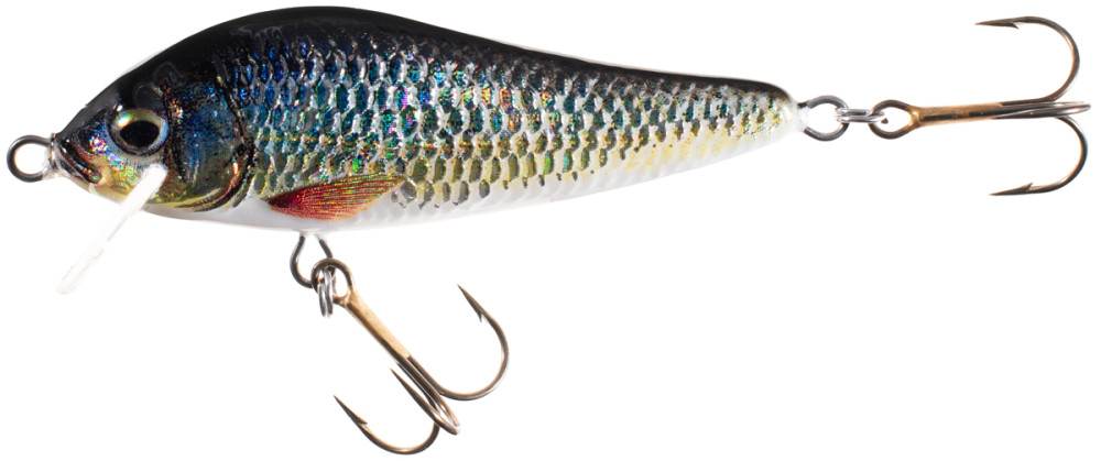 WOBLER P�YWAJ�CY HS ELON NATURE 3D 7cm PB JAXON